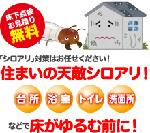 シロアリ対策